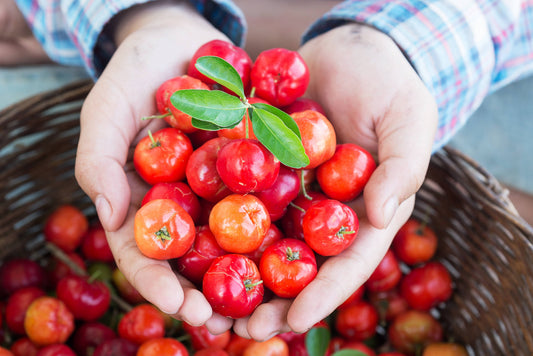 Acerola - více než jen vitamín C
