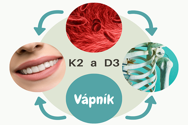 Synergická souhra mezi vitamíny D3 a K2