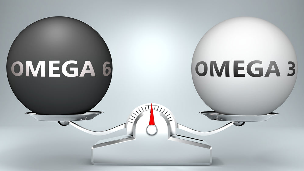 Omega-3 - živiny, na které bychom v jídelníčku rozhodně neměli zapomínat