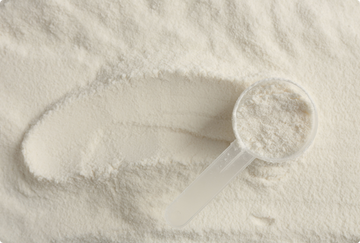 Role kolagenu v lidském organismu