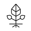 Na přírodní bázi