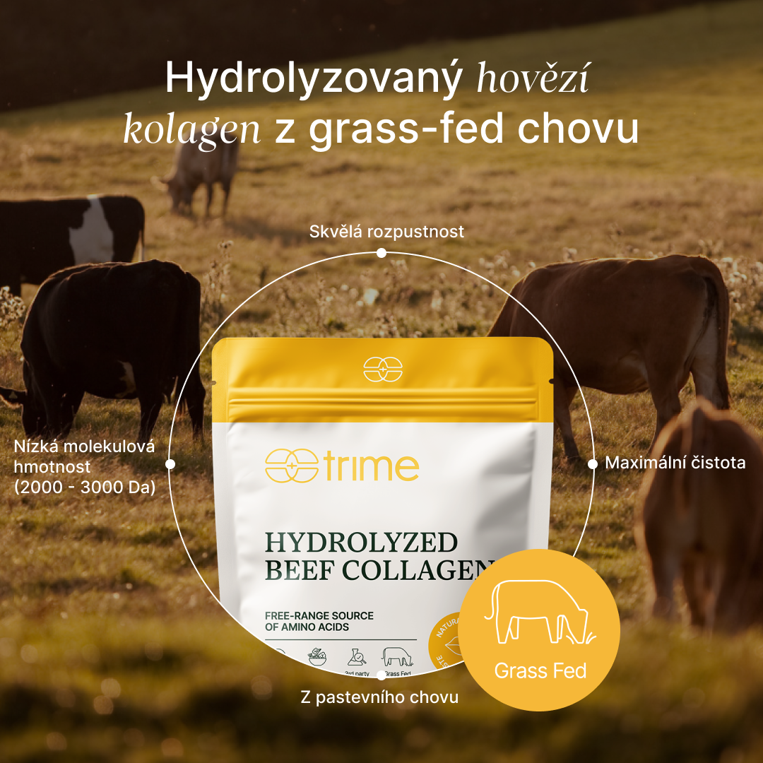 Hydrolyzed Beef Collagen