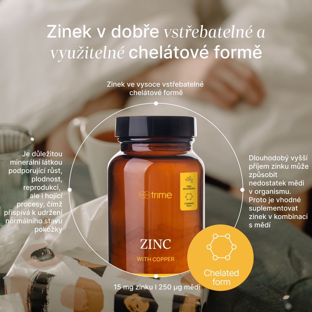 Zinek info 2