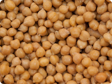 chickpea