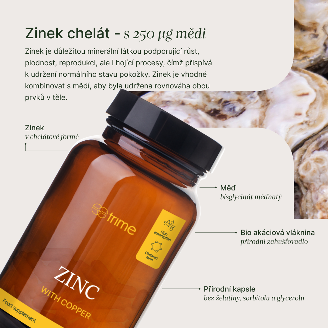 Zinek info 1