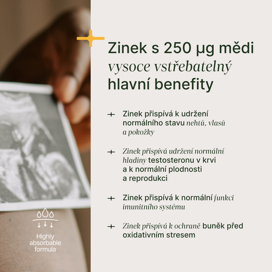 zinek info